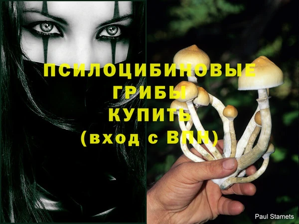 гидропоника Богородск