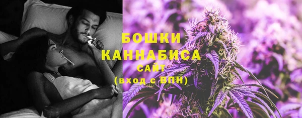 крисы Богданович