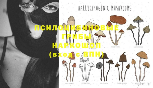 MDMA Premium VHQ Бугульма